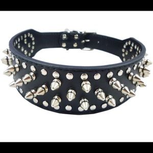 Black Leather spiky dog collar